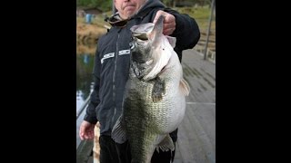 25lb Largemouth bass