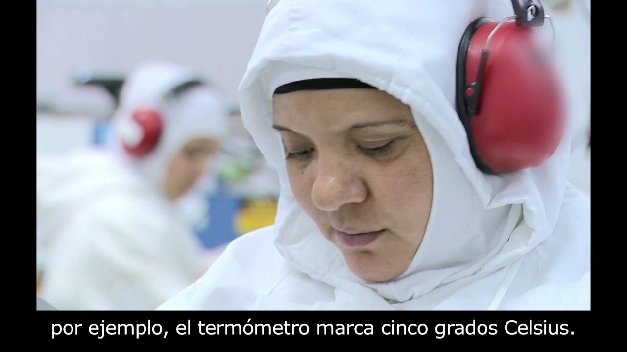 Série 100% Seguro - SESI - Frigorífico - Risco Ocupacional - Agentes Físicos - Subtítulos en Español