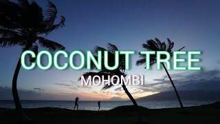 Mohombi - Coconut Tree Ft. Nicole Scherzinger (lyrics) || Under the coconut tree