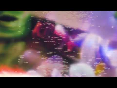 Video thumbnail for Who Tends a Garden