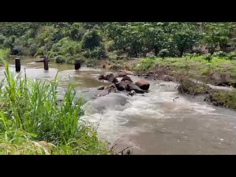 View Suối Cam Ly ven ĐL, thuộc Lâm Hà, Cách Chùa Linh Ẩn 2km, full thổ cư