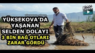 Yüksekova’da Yaşanan Selden Dolayı 3 Bin Bağ Otları Zarar Gördü