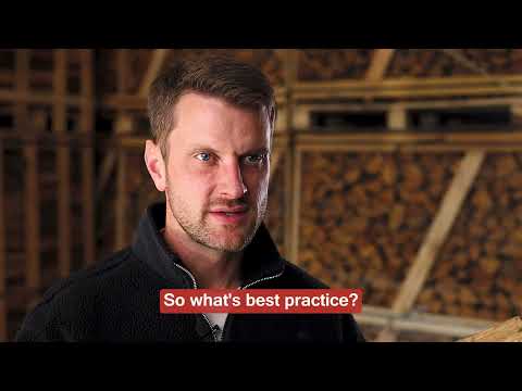 What Happens If Firewood Gets Wet?