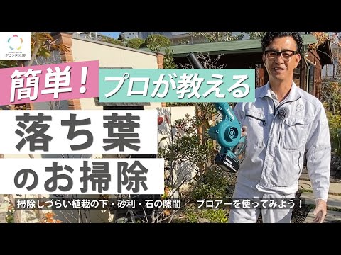 天然マルチ 庭の枯れ葉の使い方 分解堆肥 酸素 CO2 ジェル