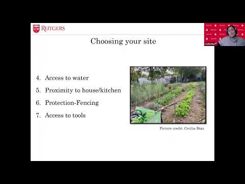 Homesteading Academy: Planning Your Backyard Vegetable Garden