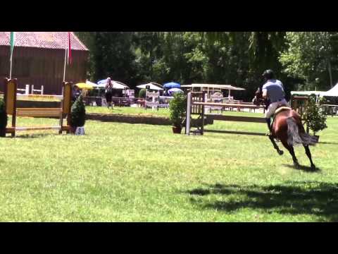 Landado Winning 1m35 Payern