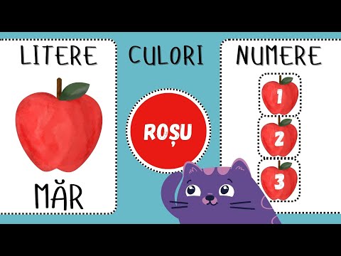 First words | Learning to speak with PAM BEBE | ABC | Numbers | Colors | Sentences | Children's d...