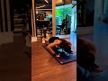 Pushup Girlsworkout Shorts Sherlynchopra Gym