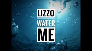 Lizzo - Water Me - I Am Free Walmart Song (Walmart Black Friday Song)