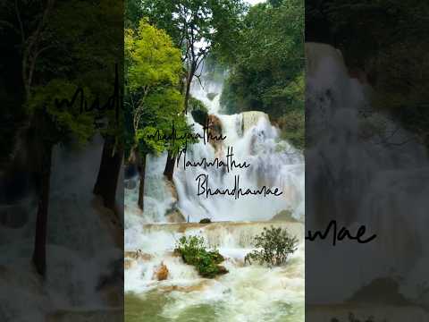 kadalkonda Neelam | Malai kaatru song lyrics #whatsappstatus #lyrics