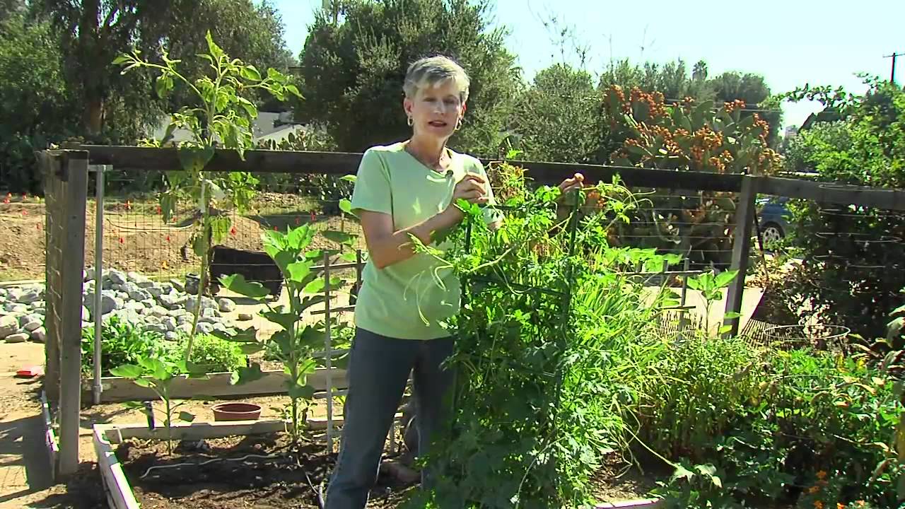 Gardening with Lucy - Plant Structures