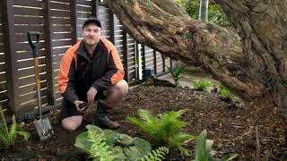 How to Improve your Soil Quality | Mitre 10 Easy As Garden