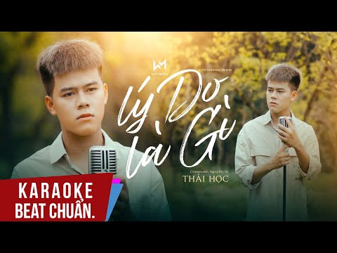 Karaoke | Lý Do Là Gì - Nguyễn Vĩ | Thái Học Cover