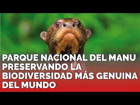 PARQUE NACIONAL DEL MANU PRESERVANDO LA BIODIVERSIDAD MÁS GENUINA DEL MUNDO