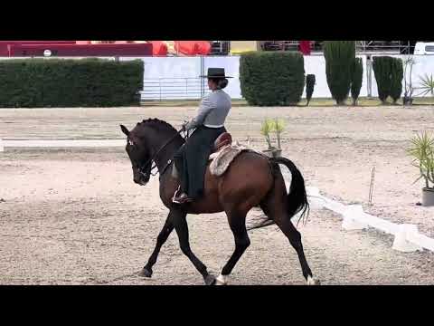 Nicole e Hábil de Sena- Young Riders