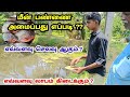 மீன் பண்ணை அமைப்பது எப்படி செலவுகள் 4 