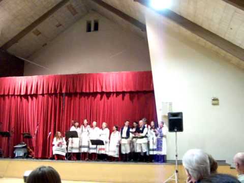 Dunava and Dave and the Dalmatians