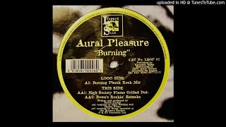 Aural Pleasure~Burning [High Society Flame Grilled Dub]