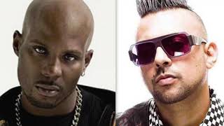 DMX &amp; Sean Paul _Here Come The Boom (Big Dream Edit)(clean)