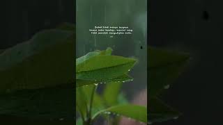 Download lagu Story wa bukan tidak mampu bergaya karna sadar keadaan, mencari uang tidak semudah mengedipkan mata. mp3