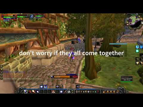 Investigate the Blue Recluse - Mague class  2023