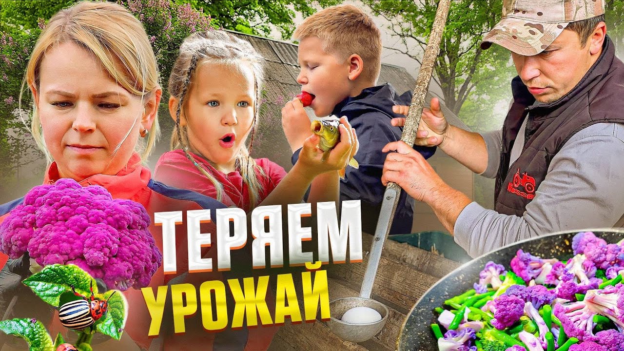 НАСТОЯЩАЯ И НЕПРОСТАЯ ЖИЗНЬ ДЕРЕВЕНСКОЙ СЕМЬИ! КАК ПОДВЯЗАТЬ ПОМИДОРЫ! ЧТО С