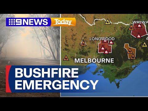 Three emergency-level bushfires still burning across Victoria | 9 News Australia