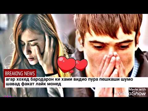 SP БАРАКАТ 2019