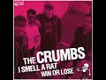 The Crumbs / The Ridicules - Split 7 inch (2009)