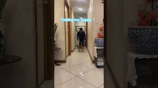 make test for my puppies (4months old)how can he help me?result is very good and he does great job