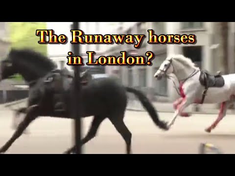 The Runaway horses in London? - A reading with Tarot Cards
