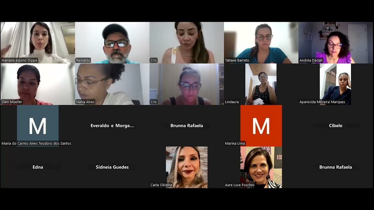 Reunião 13jan25 Resumo Seminario