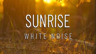 Enjoy this relaxing sunrise | Meditate | Study |