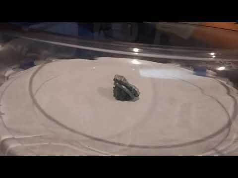 King kerbeus vs dark doomscizor