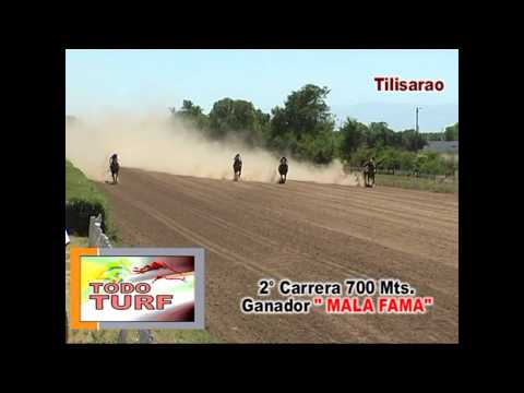 2°CARRERA 700 Mts Ganador MALA FAMA