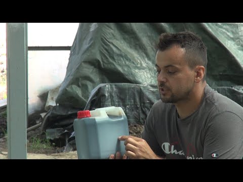 Glistal - gnojivo budućnosti? - Zlatno klasje #264