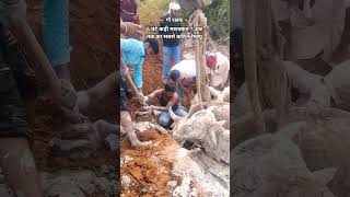 Download lagu #gaumata #cow #yogiadityanathonani #goraksha #gorakshak #gauseva #gau #trending #viral mp3 Download lagu #gaumata #cow #yogiadityanathonani #goraksha #gorakshak #gauseva #gau #trending #viral mp3