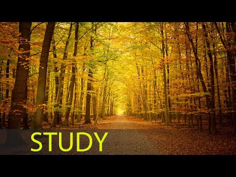 Peaceful homework music image