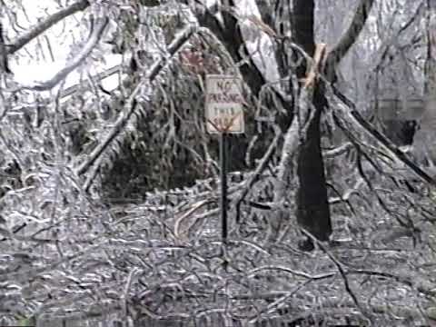 1994. DSU Campus. Ice Storm Damage.