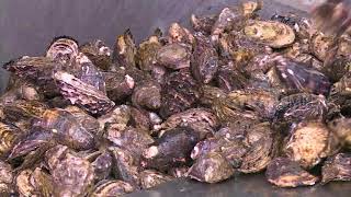 Download lagu LAPTOP SI UNYIL | ME TIME (13/04/18) 2-3 mp3