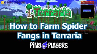 How to Farm Spider Fangs in Terraria (Fast Method)