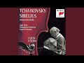 Violin Concerto in D Minor, Op. 47: I. Allegro moderato