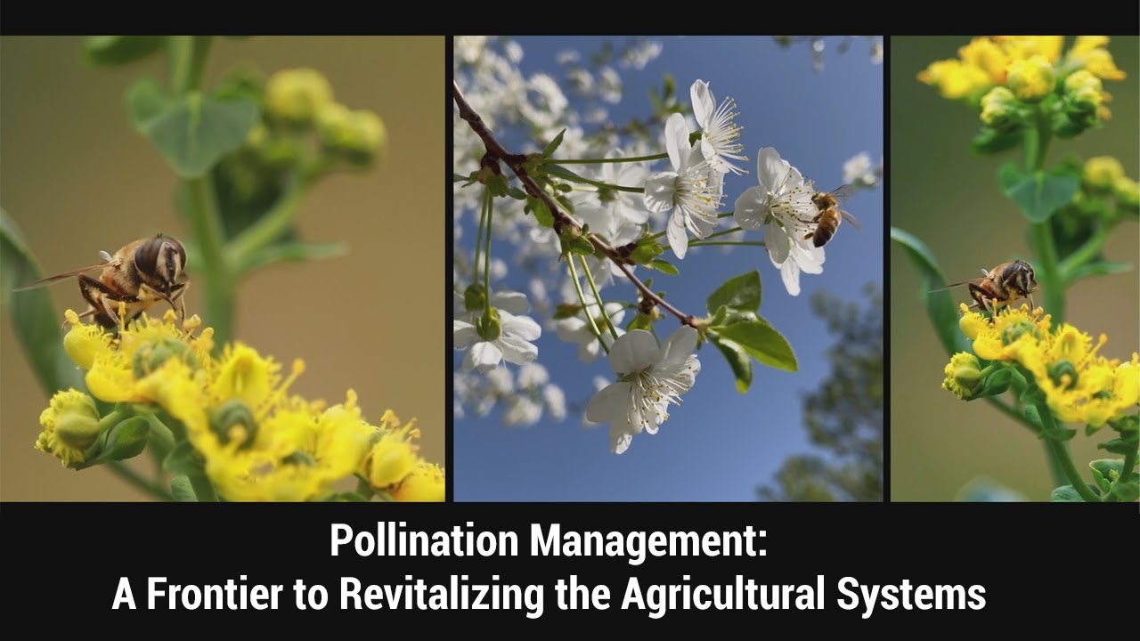 Pollination Management: A Frontier to Revitalizing the Agricultural Systems