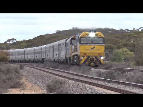 Loco NR27 leading the Indian Pacific, Hillgrange
