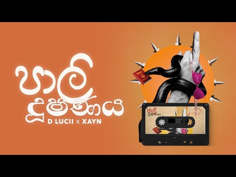 D Lucii × @Xayn  × Zeus - Pali Dushanaya | පාලි දූශණය | Official Lyrics Visualizer