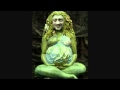 TIM FLANNERY - WILD & CRAZY GAIA - Satire