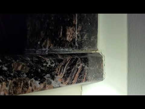 Ants Keeping Warm by the Fireplace in Manasquan, NJ