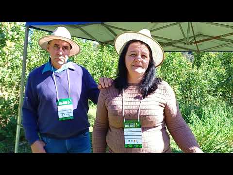 Confira a abertura da safra da erva-mate em Machadinho - Rio Grande Rural