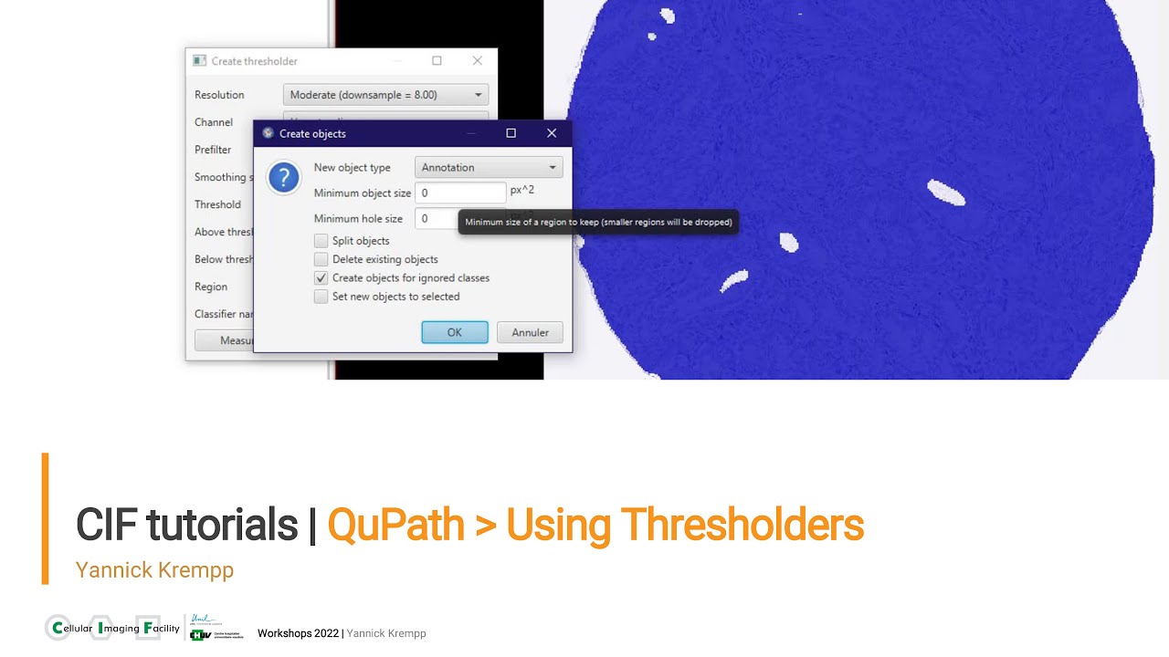 CIF Tutorials | QuPath : Using thresholders