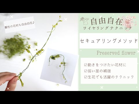 指ぬき 植物